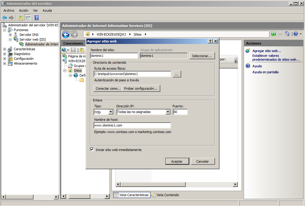 HTTP Windows 2008 IIS sitio dominio1.com