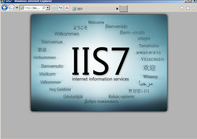HTTP Windows 2008 IIS resultado localhost 